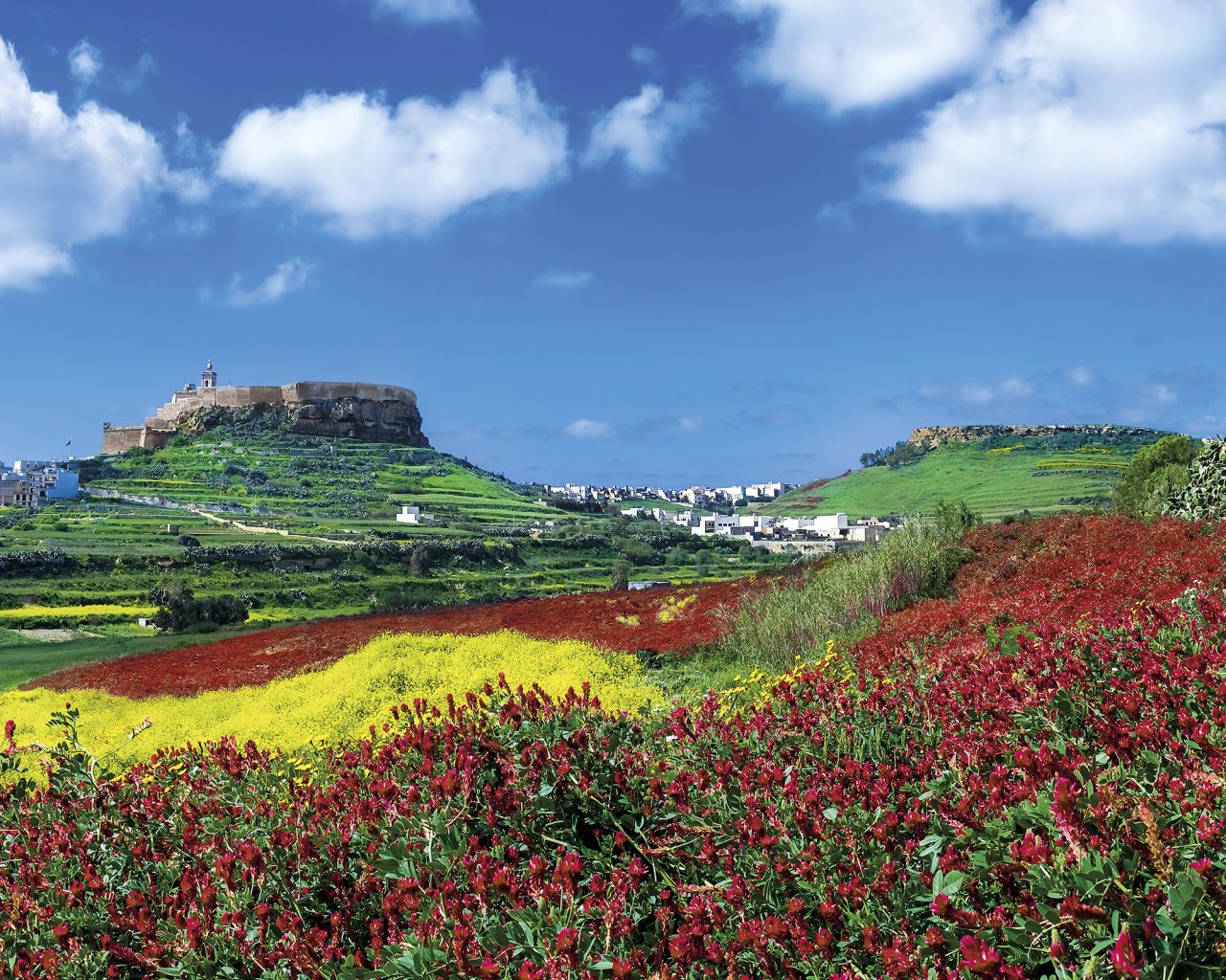 Gozo's countryside in spring